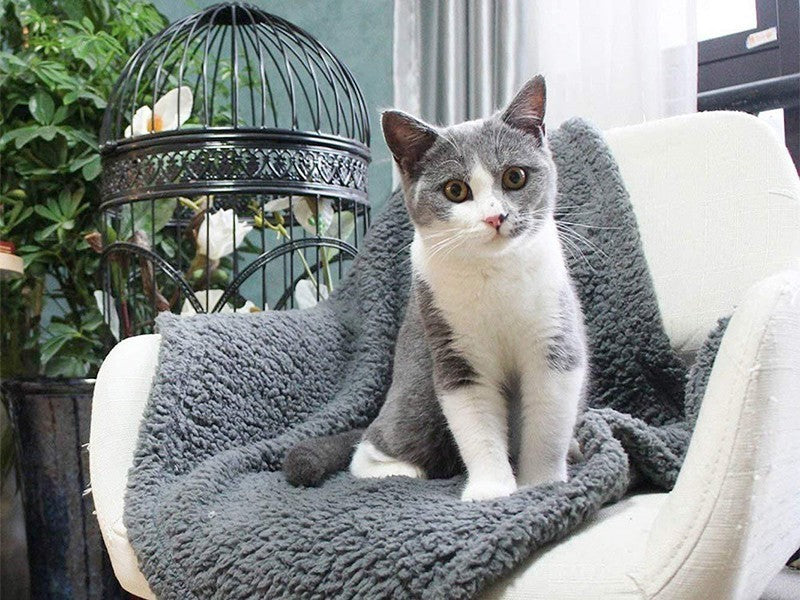 Plush Pet Blanket Mat for Dogs and Cats
