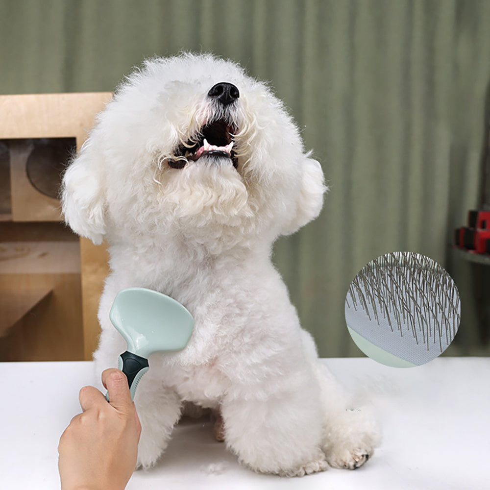Professional Cordless Pet Grooming Clippers Kit