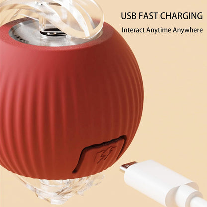 Smart Interactive Rolling Pet Ball