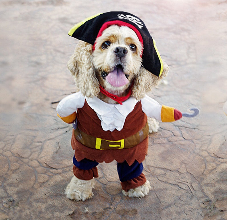 Pirate Costume Outfit for Pets