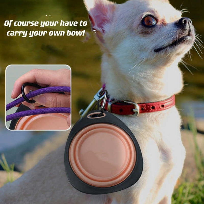 Portable Folding Pet Travel Bowl