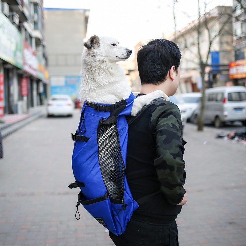 Portable Pet Travel Backpack Carrier