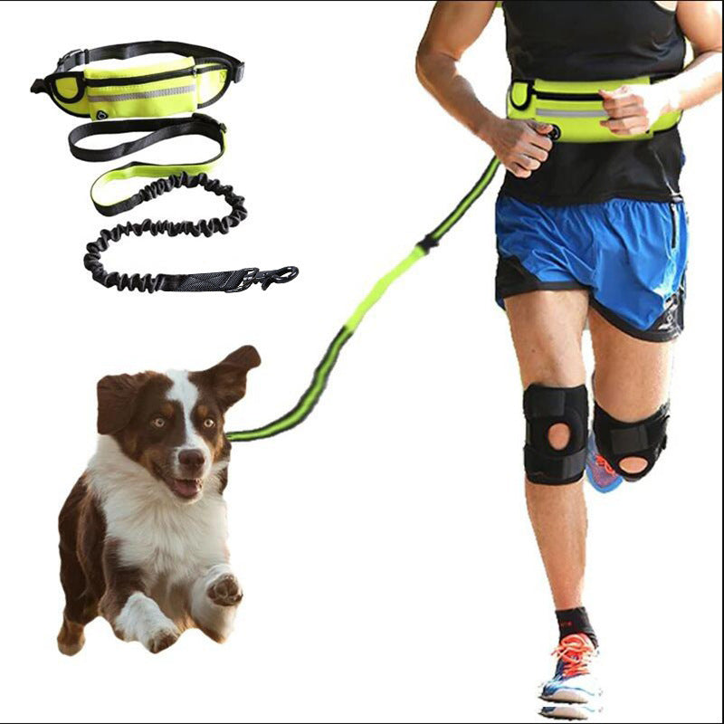 Hands-Free Dog Leash with Waist Belt & Bungee