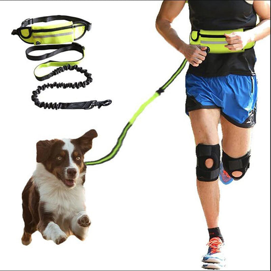 Hands-Free Dog Leash with Waist Belt & Bungee