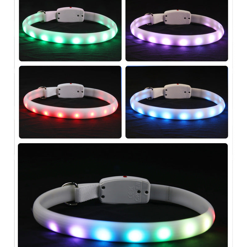 USB Rechargeable LED Dog Safety Collar