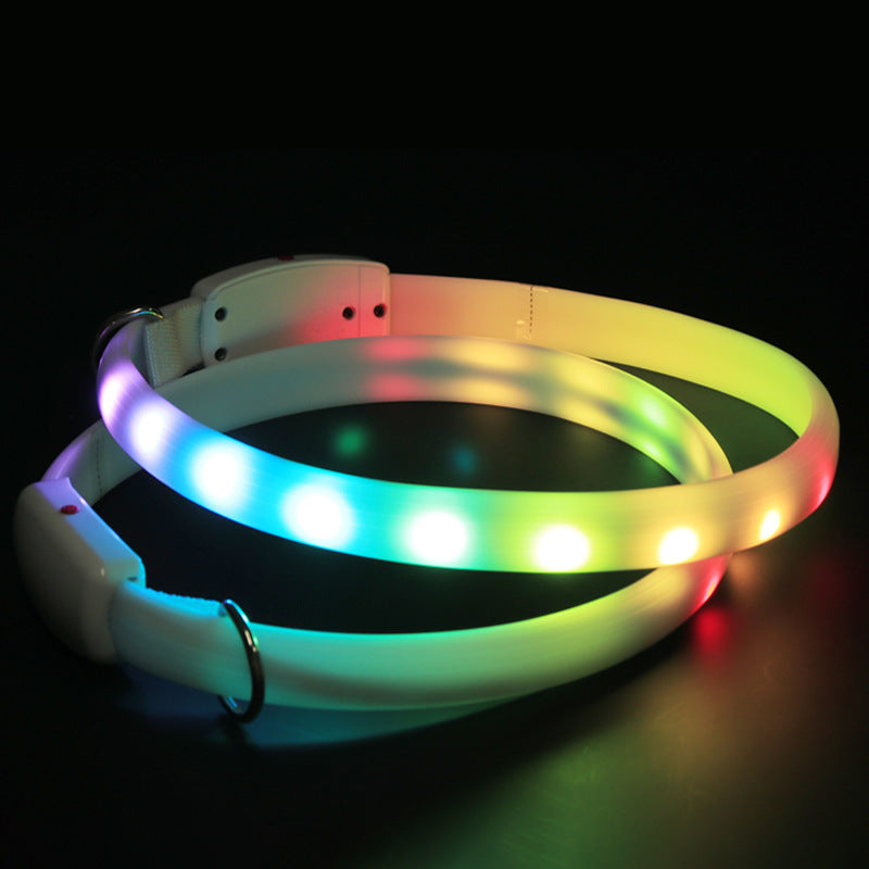 USB Rechargeable LED Dog Safety Collar