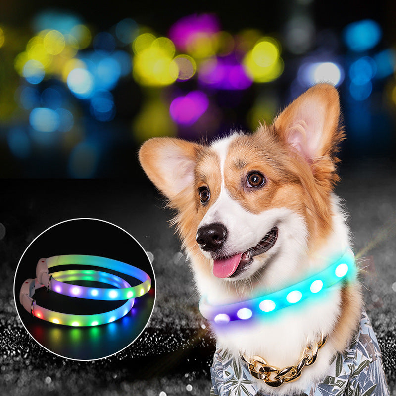USB Rechargeable LED Dog Safety Collar