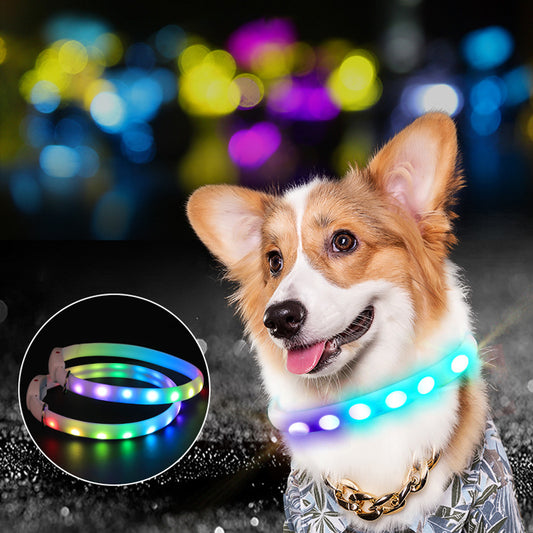 USB Rechargeable LED Dog Safety Collar